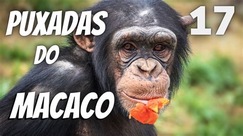 puxada do macaco.